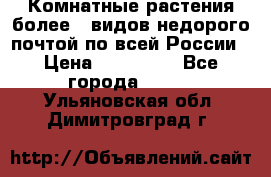 Комнатные растения более200видов недорого почтой по всей России › Цена ­ 100-500 - Все города  »    . Ульяновская обл.,Димитровград г.
